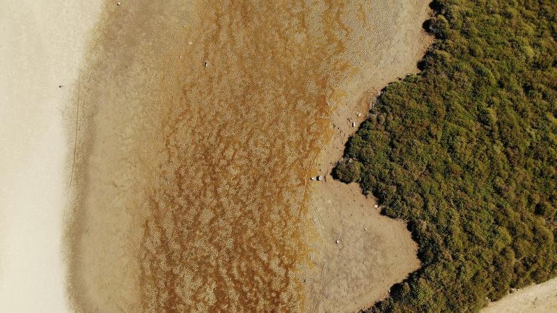Crisi alimentare: per la Fao ci restano sei mesi 