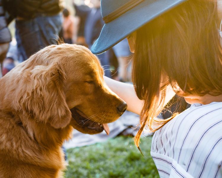 Animali domestici: una vero e proprio toccasana