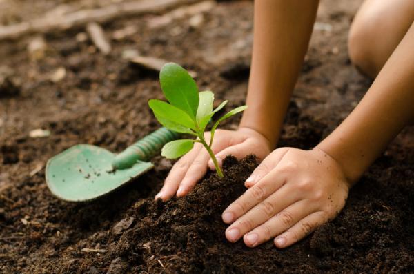 Edugreen: laboratori di sostenibilità  per una scuola più ecologica