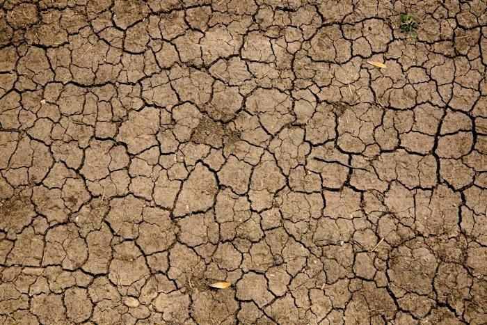 Fake news e cambiamento climatico: gli effetti della cattiva informazione sull’ambiente