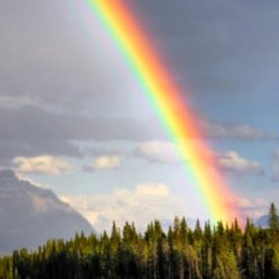 Perché non vediamo nell'arcobaleno il nero, il marrone e il grigio?