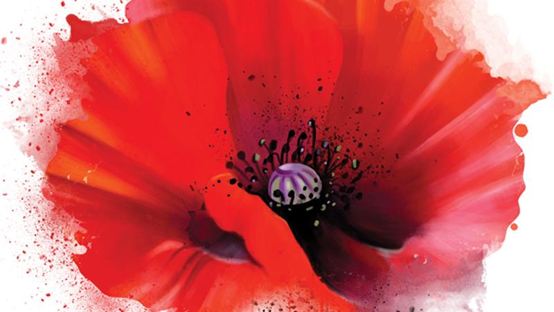 25 aprile, Zai.net resiste e ricorda	