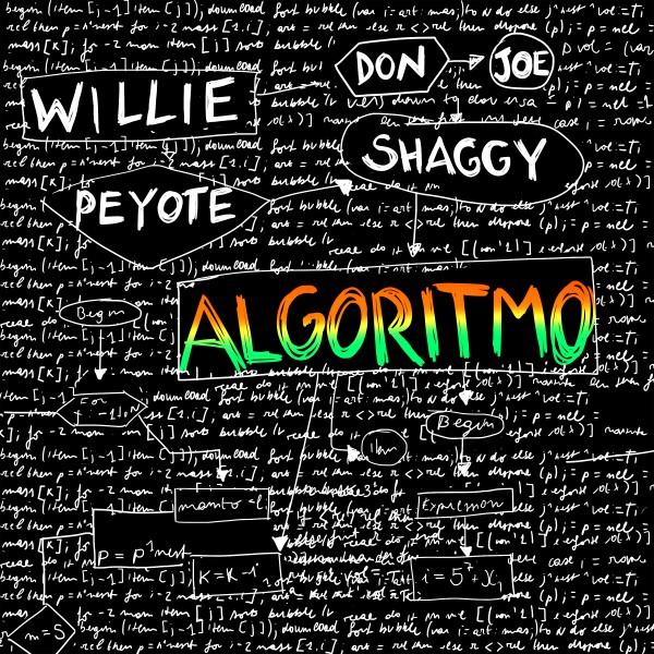 Nuovo singolo per Willie Peyote 