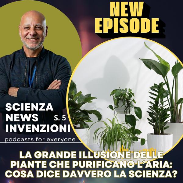 La grande illusione delle piante che purificano l’aria: cosa dice davvero la scienza?